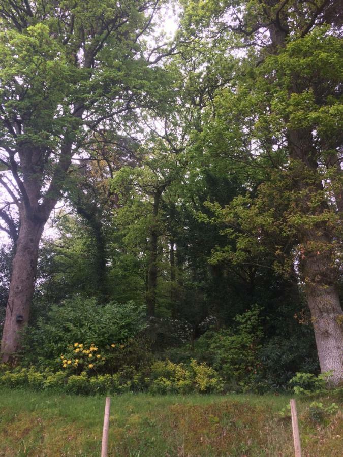 Claremont House Bed & Breakfast 4*